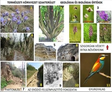 8. tabló – Természeti környezet szakterület - Geológiai és Biológiai értékek